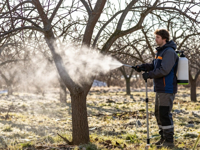Чем обработать огород от болезней и вредителей весной 2026 года