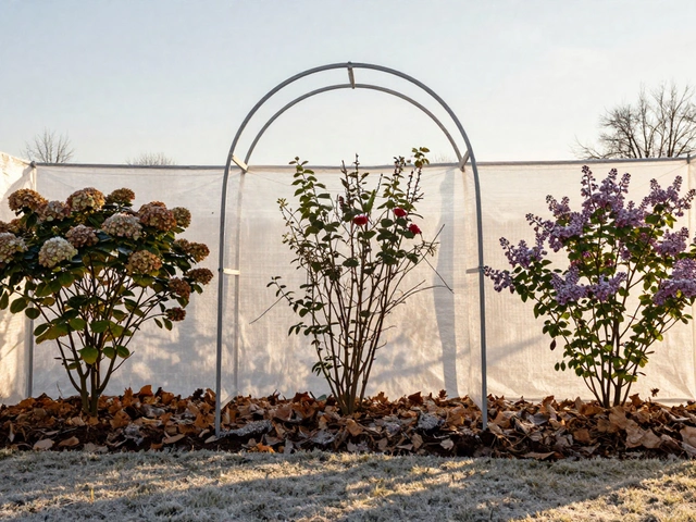 Как утеплить кусты на зиму: пошаговая инструкция для сада в Санкт-Петербурге