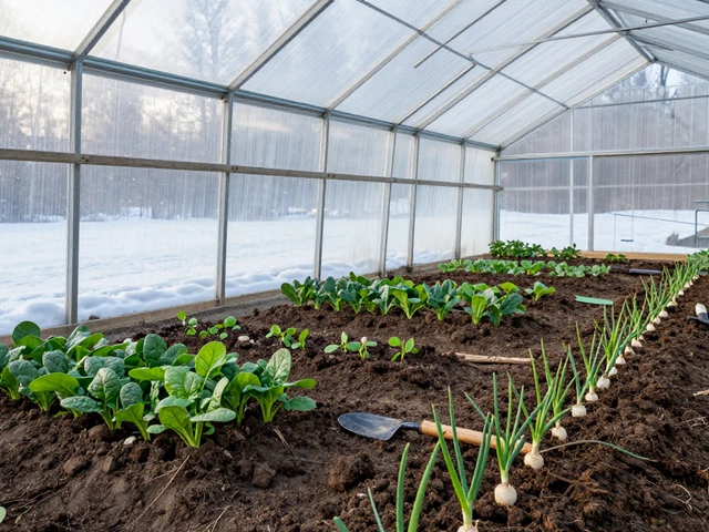 Посадка овощей в теплице в марте: подробное руководство для начинающих