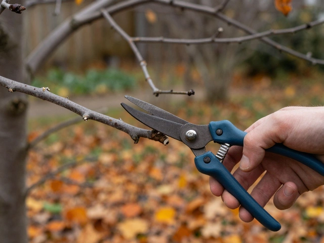 Обрезка плодовых деревьев: весна или осень - когда делать правильно?